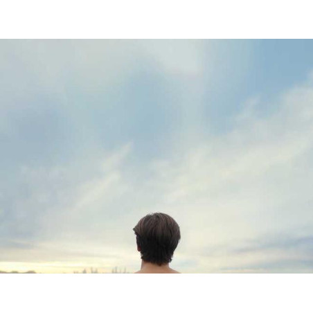 Heavy Duty Granite Car fr-FR